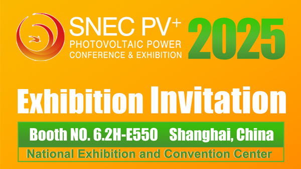 2025 SNECPV&ES National Photovoltaic & Energy Storage Conference